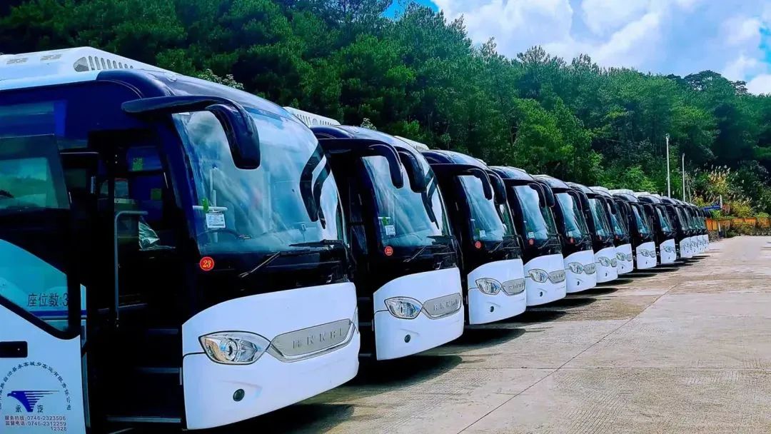 AG콢 (й½) Apple Store