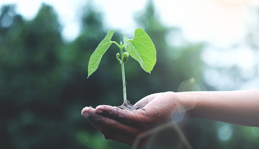 AG旗舰厅 (中国大陆) Apple Store