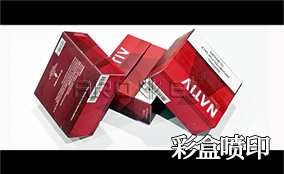 S6 高快可变数据喷印系统Technical Parameters